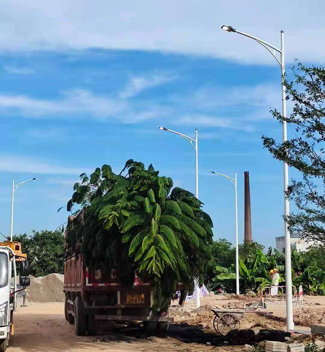 乐动在线注册助力东莞洪梅万科星城道路亮化工程